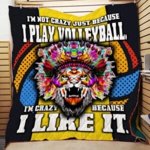 Bump Set Spike Quilt D276  Quilt